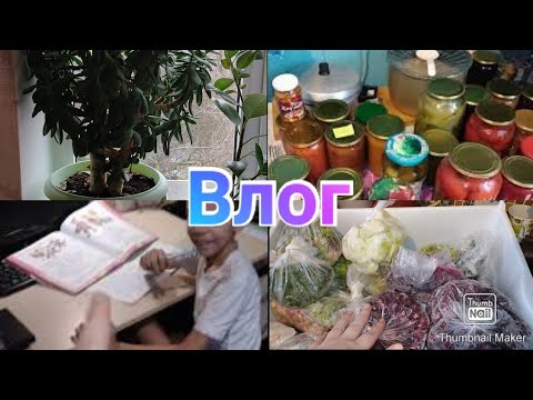 Запасы заканчиваются Консервация и Морозилка / Много наготовила / Anika Z влог