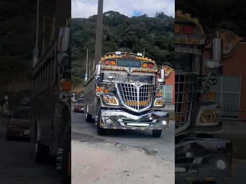 Transportes RUBIA Nueva santa, rosa, Casillas a Guatemala