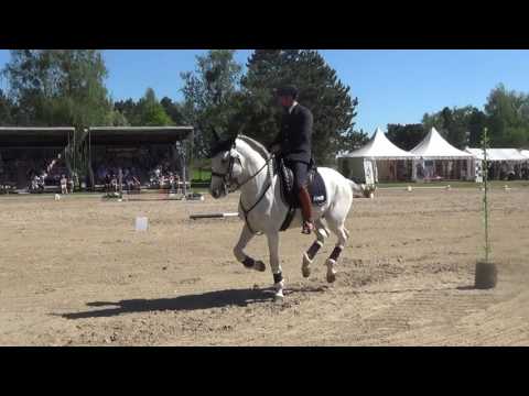 Pferd International 2017 Mihai Maldea Do Inca Speedtrail WM
