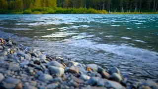 River White Noise For Sleep, Studying & Relaxation | Nature Sounds 10 Hours