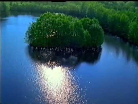 Krombacher Pils Werbung 1999