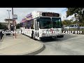 Glendale Beeline 2005 New Flyer C40LF B59