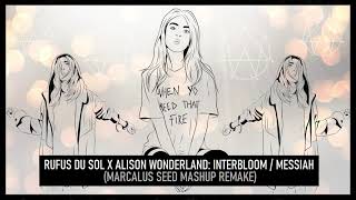 Rufus Du Sol X Alison Wonderland - Interbloom Messiah (Marcalus Seed Mashup Remake)