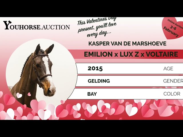 Kasper van de Marshoeve
