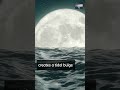 The Moon's Fascinating Gravitational Pull 🌊🌙 #shorts #moon #tides