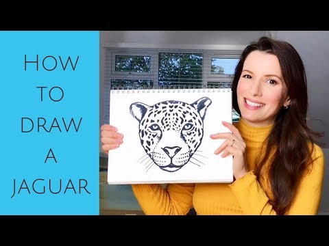 How to draw a jaguar head