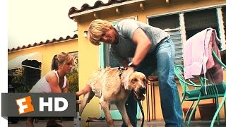 Marley & Me - Life With Marley