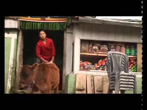 The Old Wise Man - Dialogue with a Diasporic Identity