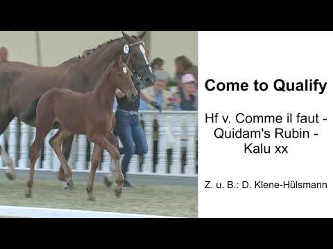 Comme il faut Sohn 0049160/93151766