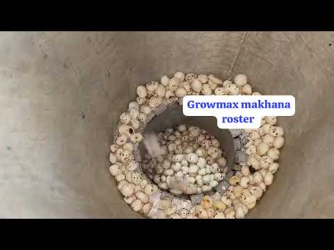 Roasting Machine