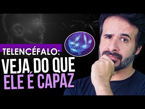 VEJA DO QUE O TELENCÉFALO É CAPAZ.