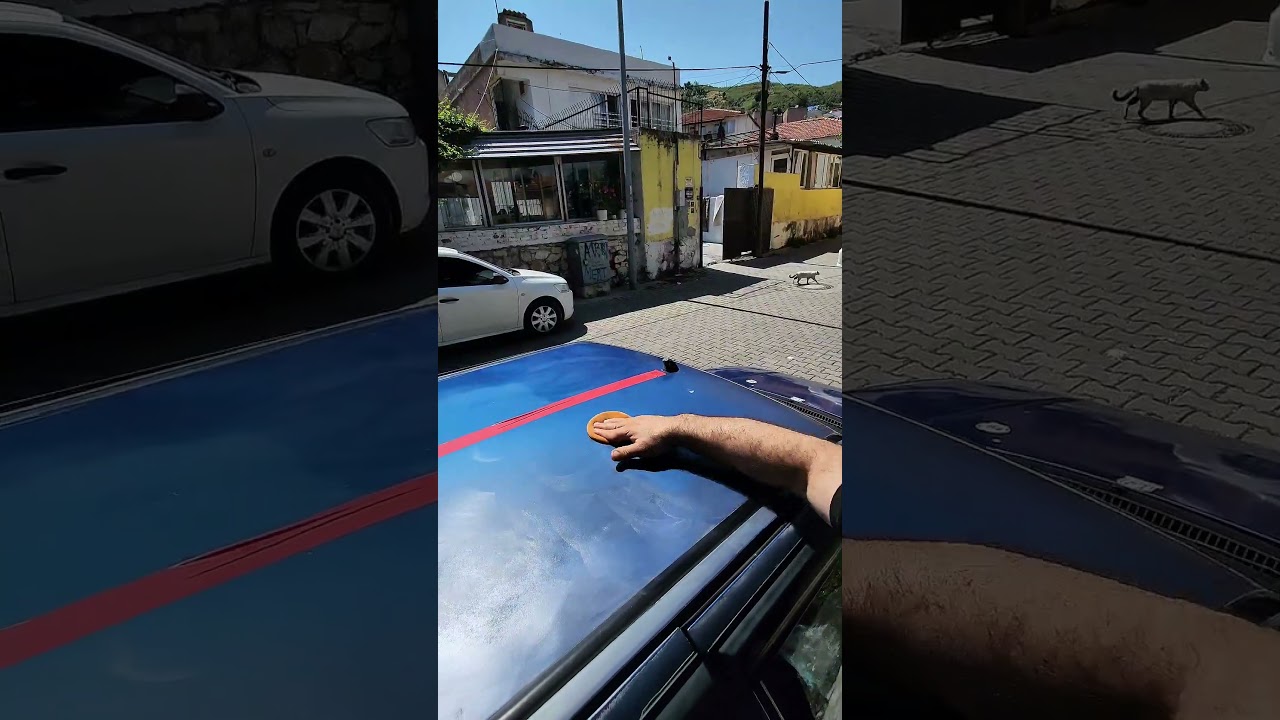 Video Önizleme