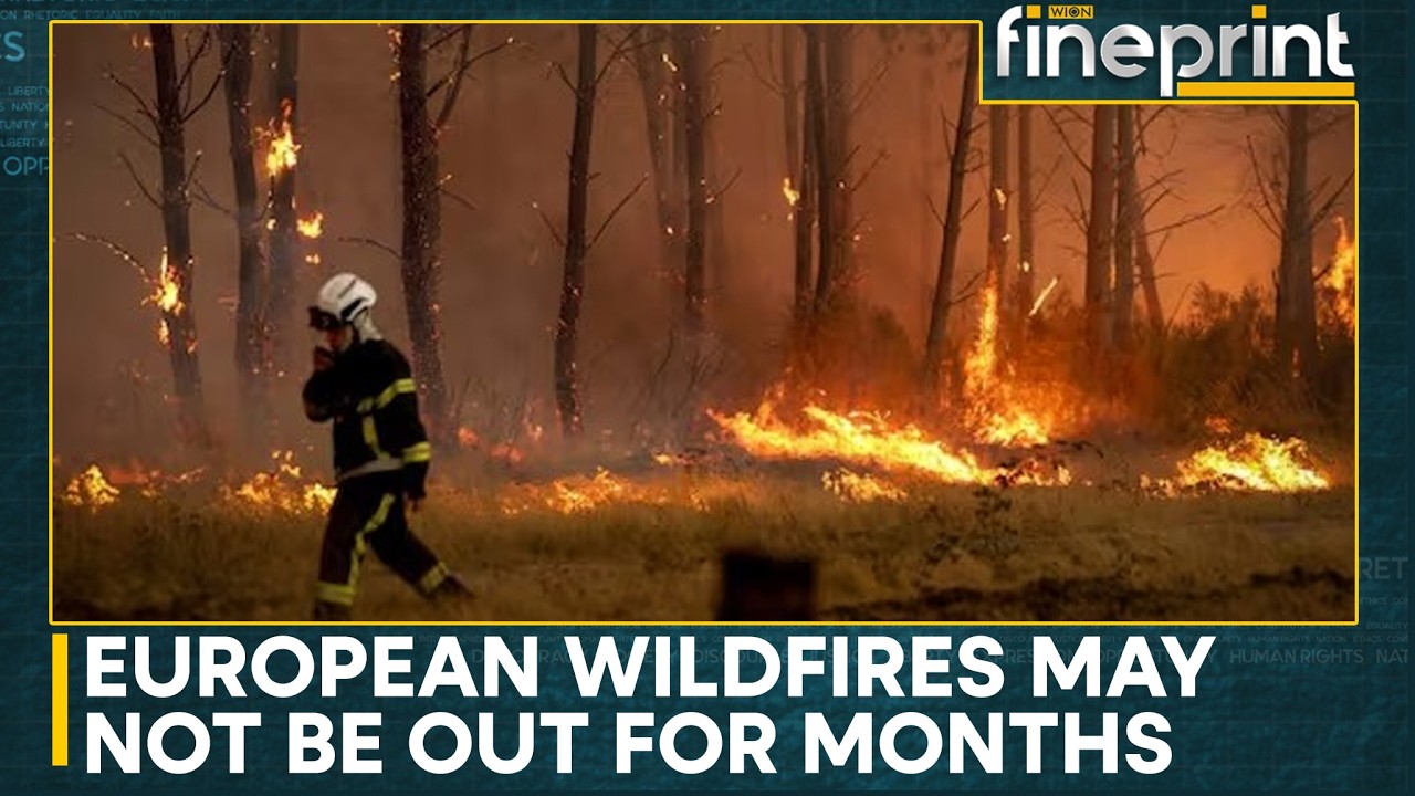 Firefighters Racing Against Time To Battle The Raging Wildfire In France And Spain | WION Fineprint
