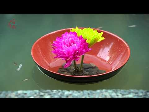 炎熱的臺南EP8.蓮花再現 (Hot Tainan EP8. Recreation of Lotus Flowers)