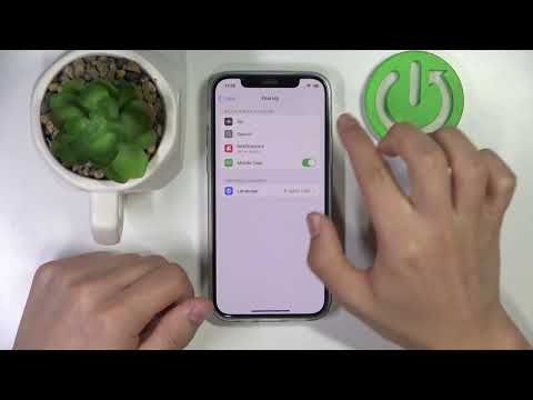 Apple iPhone 12 - How to Manage App Permissions on iPhone