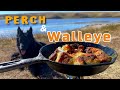 Video Thumbnail for Perch And Walleye Multispecies Catch Cook Clean At A Hidden Little Lake