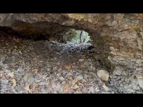 Talpalók  Lepsény 2022.01.08 , Kőszárhegy Szár- hegy