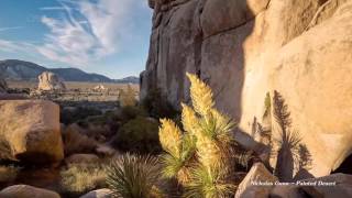 Nicholas Gunn - Painted Desert