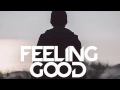 Avicii - Feeling Good 