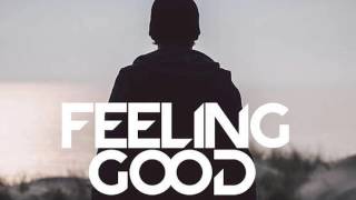 Avicii - Feeling Good