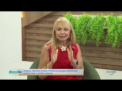 O Dia TV