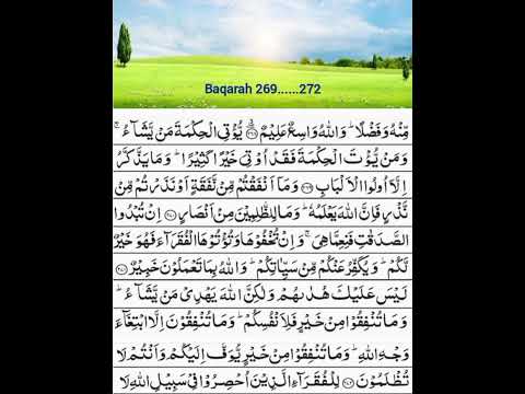 Surah Baqrah  / Ayat 269....272/ word to word Translation with  short Tafseer/ learn quran.