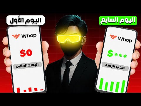 Whop Money-Making Experiment — Full Breakdown & Transcript