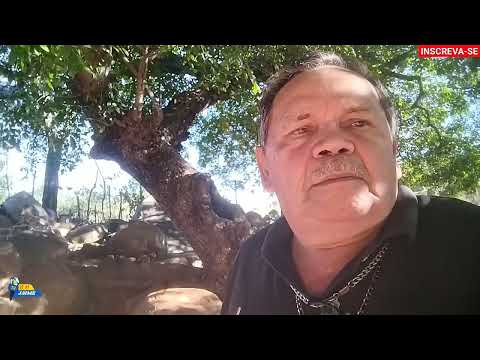 RESIDÊNCIA DE DONA  BELA NO SITIO  TRAPEAR MUNICÍPIO DE DOUTOR SEVERIANO RIO GRANDE DO NORTE 