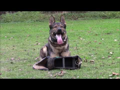 Gulliwer Mapet - protection - 11/2019