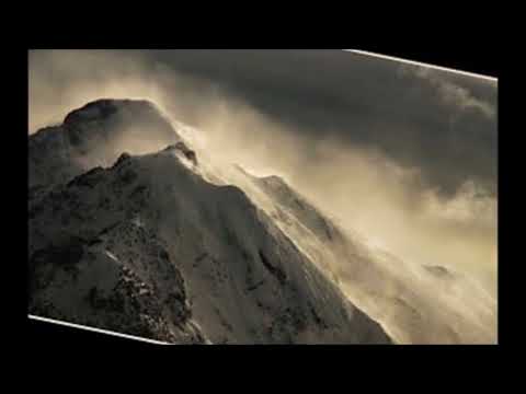 Area 23 - Mentel (Acidcore)