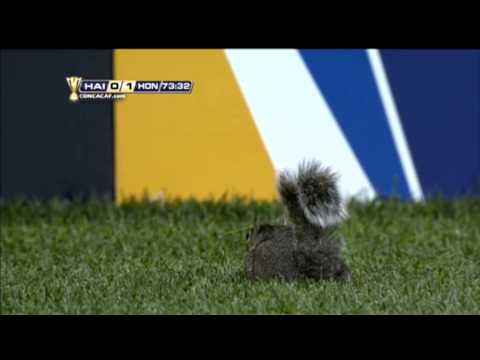 Squirrel invades football pitch - Haiti vs Honduras