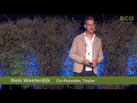 Rein Westerdijk pitches Taylor - YouTube