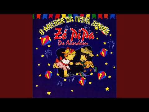 Quadrilha Brasileira / O Sanfoneiro Só Tocava Isso