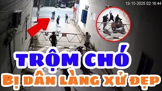 Tr.ộm chó giữa đêm – Cái kết ê chề khi gặp dân làng nóng máu!