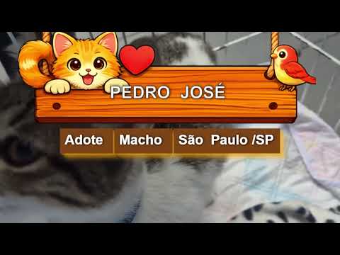 Vídeo de PEDRO JOSÉ