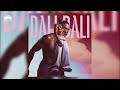 Daliwonga – DALI DALI (Album mix)