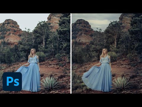 How to Set Up and Use a Wacom Tablet