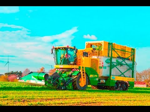 Ploeger MKC 2TR spinazie maaien 2016 - Vandemaele uit Lendelede