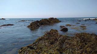 ChinnyVision - Summer 2018 Update