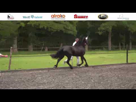 Locatie keuring Stal Eppinga | 1 juni 2022