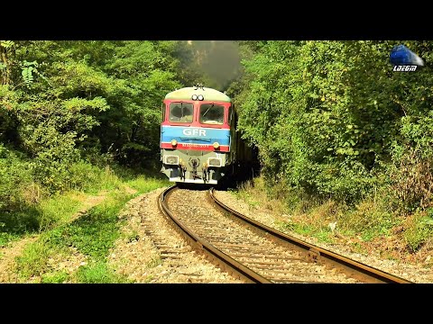 Trenuri in Defileul Crișului Repede/Trains in Crișul Repede Canyon - 09 October 2020