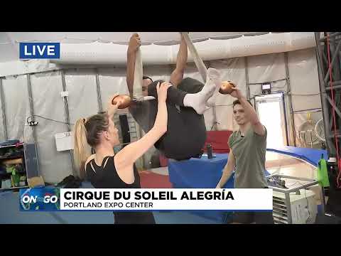 On the Go with Joe at Cirque du Soleil Alegría