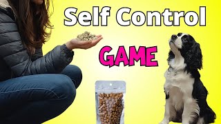 Self Control Games for Dogs: How to Teach a Cavalier King Charles Spaniel Puppy to Leave It