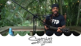 Sekajipo ForthePeople - Revolutionary Love (Live Acoustic) | Sugarshack Sessions