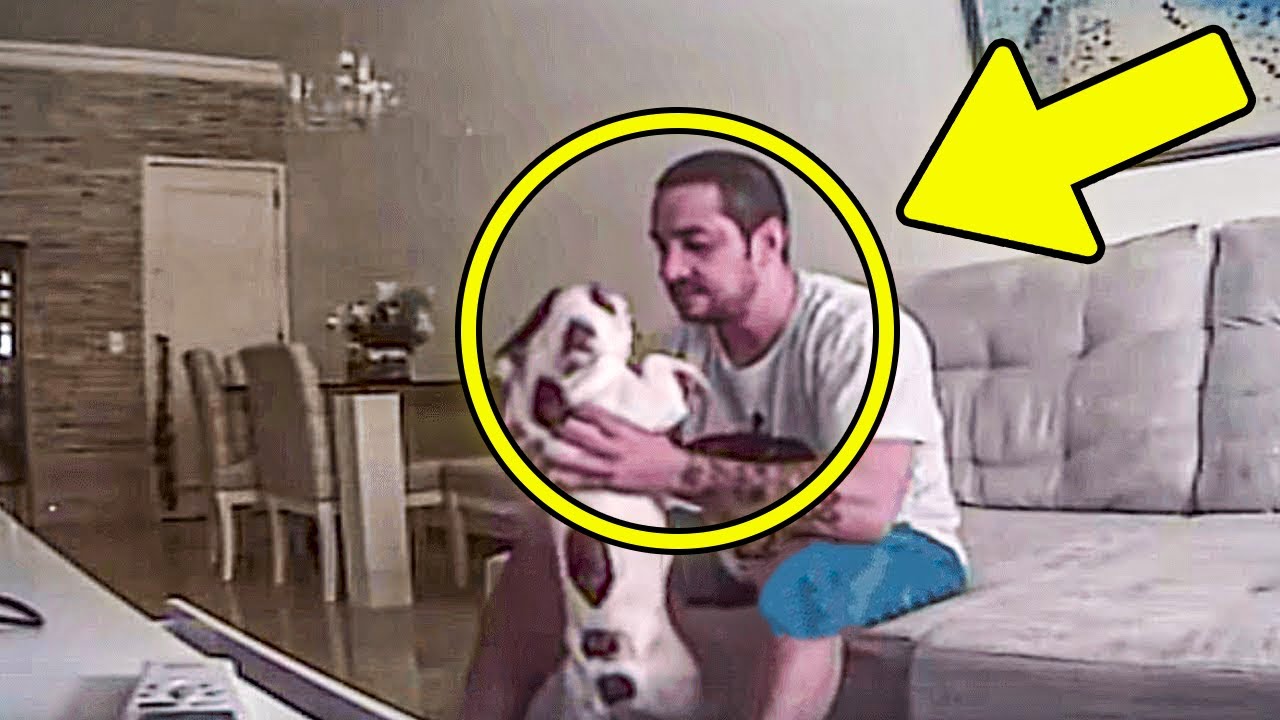 Quando Ela viu o que seu Noivo Fazia com seus Cães, Ela Cancelou o Casamento