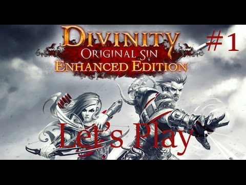 Divinity Original Sin: Enhanced Edition - Co-Op PS4 Shareplay - Let's Play Part 1: Fundamentals