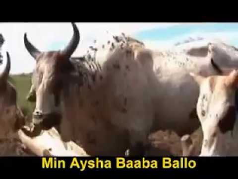 Babba Saadu - Fulbe (with Subtitle)