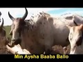 Babba Saadu Fulbe With Subtitle
