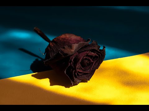 Schindler's List Theme (Cover) - I Won't Light a Candle #westandwithukraine