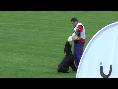 BODO v. Hexenwald + Dennis Bernsee ISPU WM 2012 - Abt.C